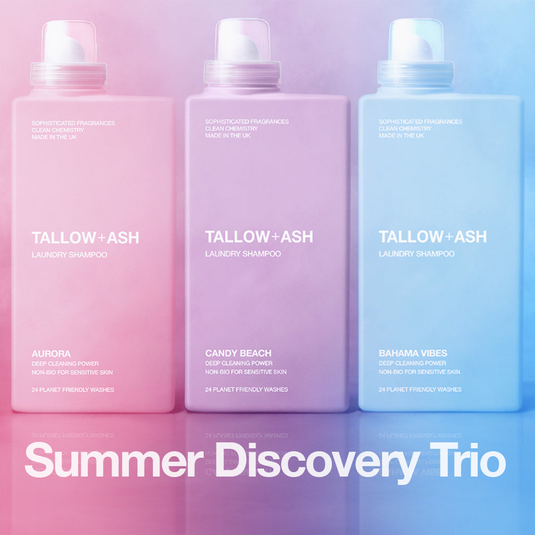 Summer Discovery Trio